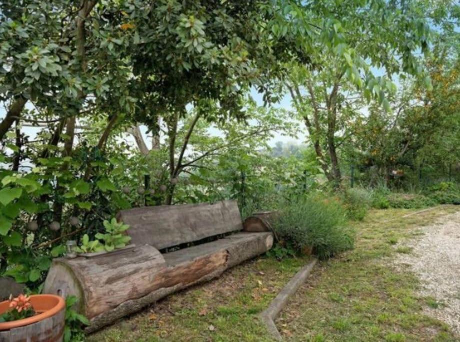 La Casa Rosa Apartment Piobesi d'Alba Екстериор снимка